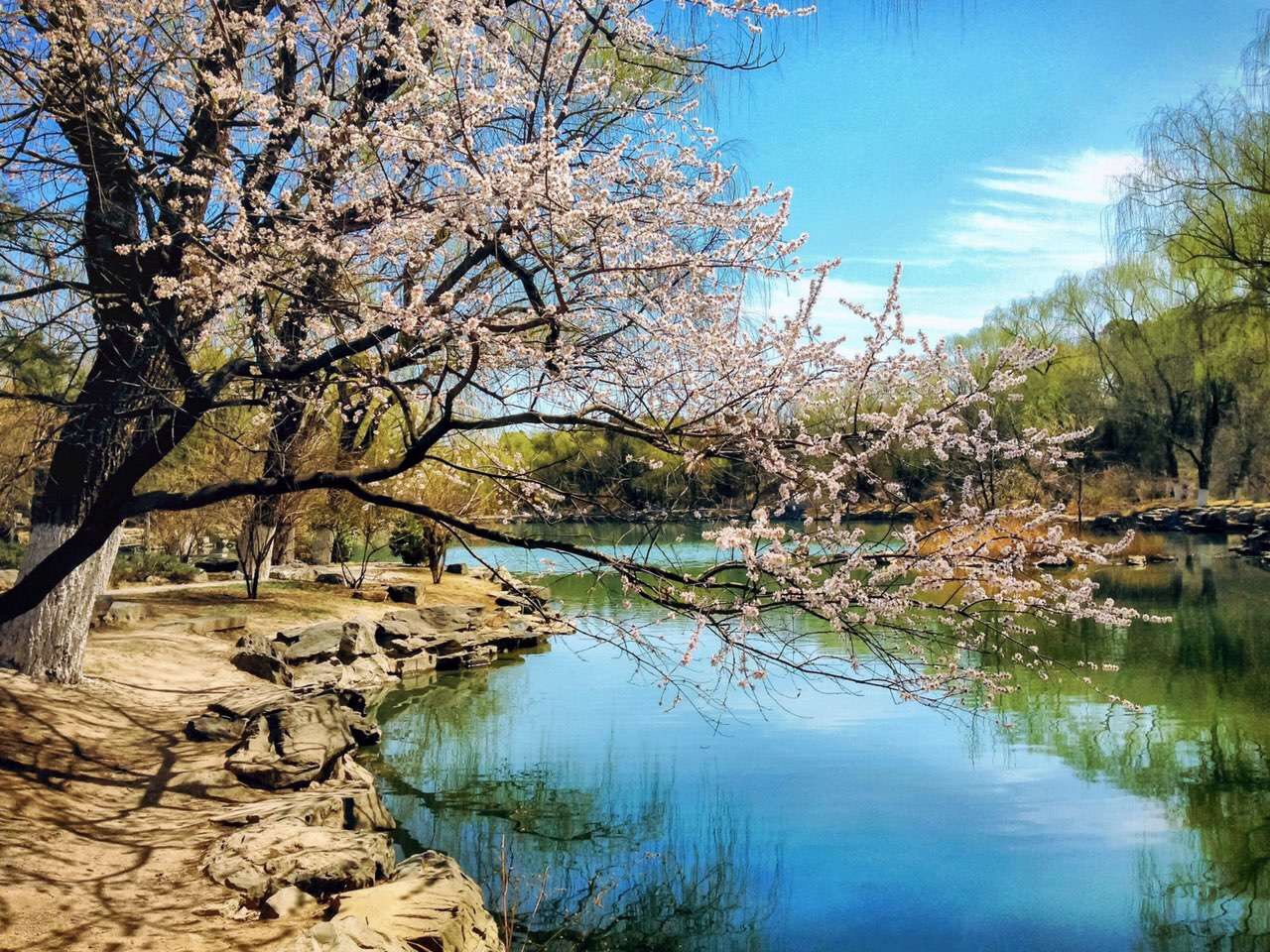 豐家赤草坡村