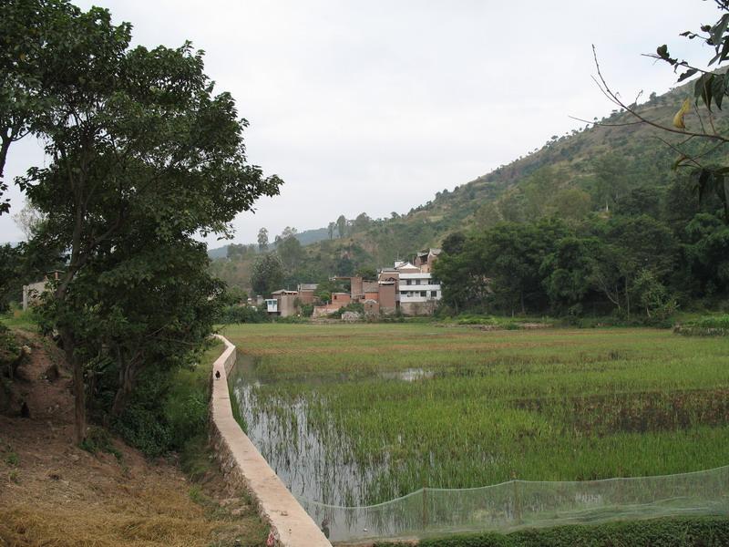 小高田村