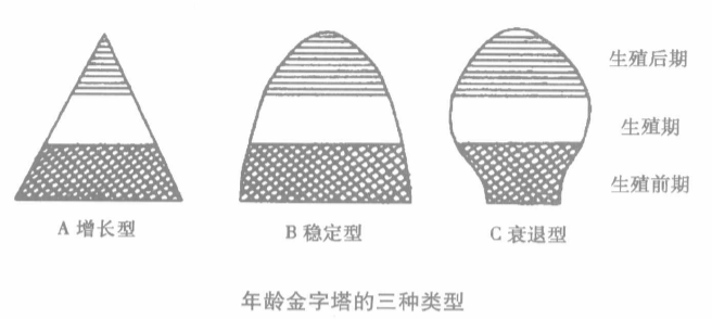 種群參數