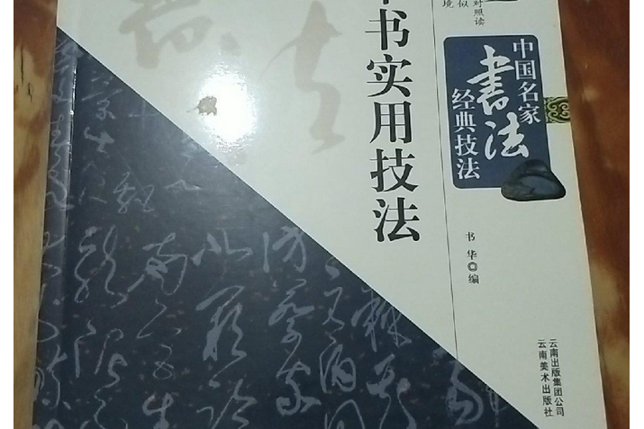 中國名家書法經典技法：名家草書實用技法