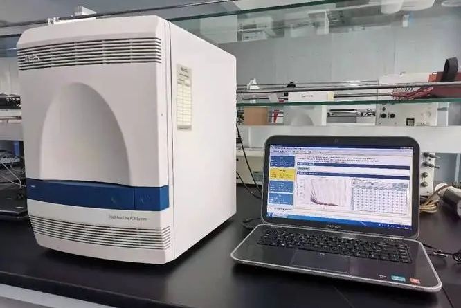 7500實時螢光定量PCR儀