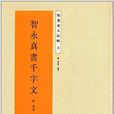 精選放大法帖5：智永真書千字文