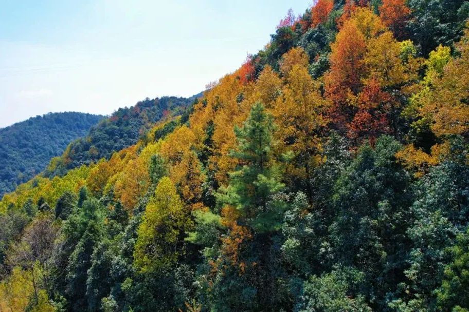 光樂村(雲南省麗江市古城區金安鎮下轄行政村)