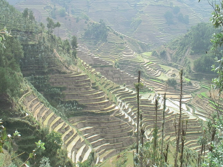 岔河街村耕地