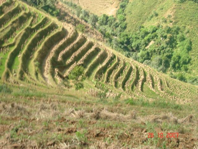 大山自然村