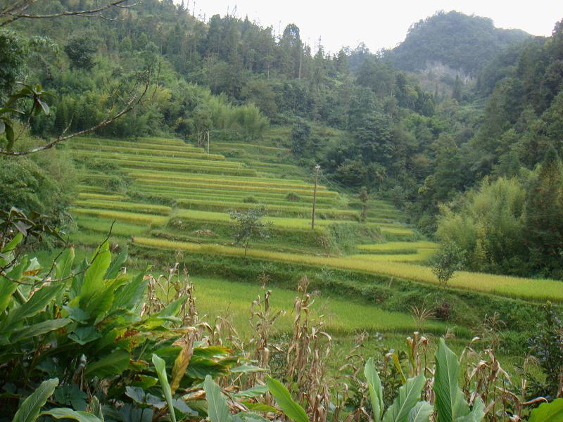 馬灣子村