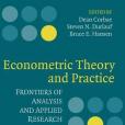 Econometric Theory and Practice(圖書)