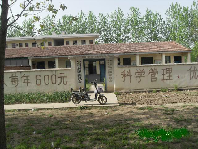 大張莊村(安徽省阜陽市臨泉縣大張莊村)