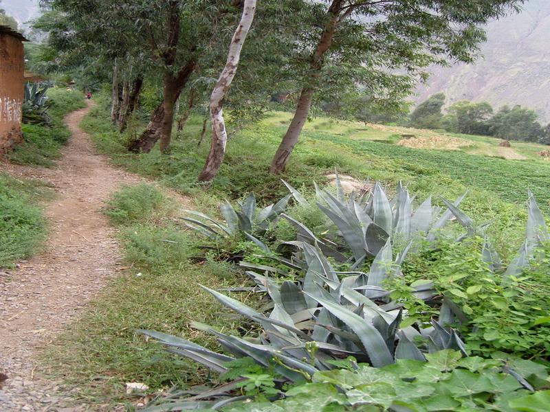 付申地自然村