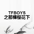 TFBOYS之那棵櫻花下