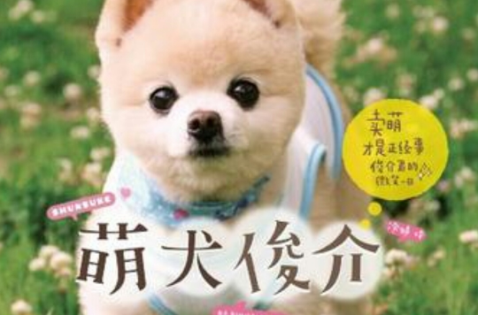 萌犬俊介