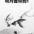 明月曾照我c