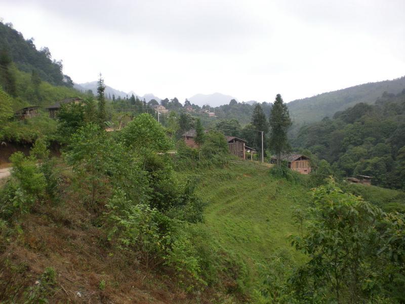 白泥塘村(雲南省尋甸縣聯合鄉下轄村)