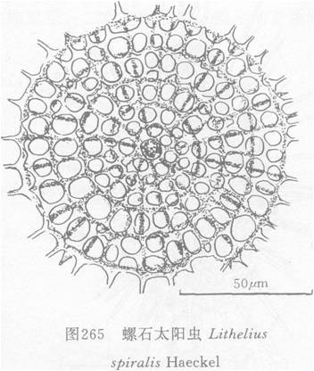 螺石太陽蟲