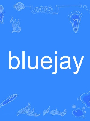 bluejay