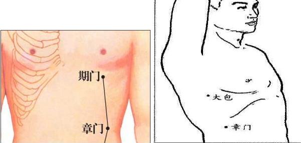 艾灸穴點陣圖：章門穴