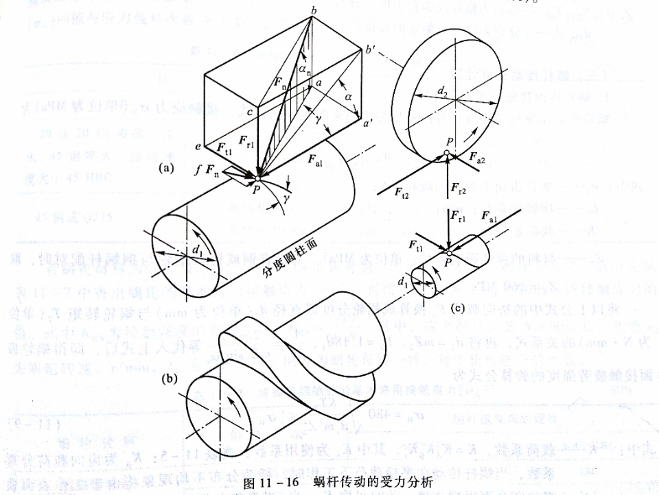 蝸桿傳動受力分析