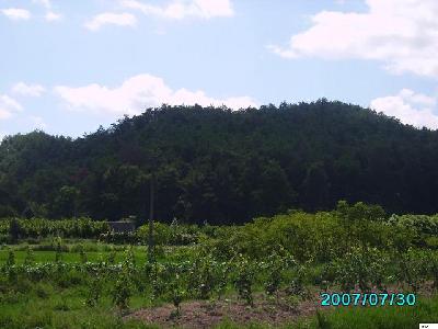 棣山村