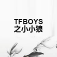 TFBOYS之小小狼