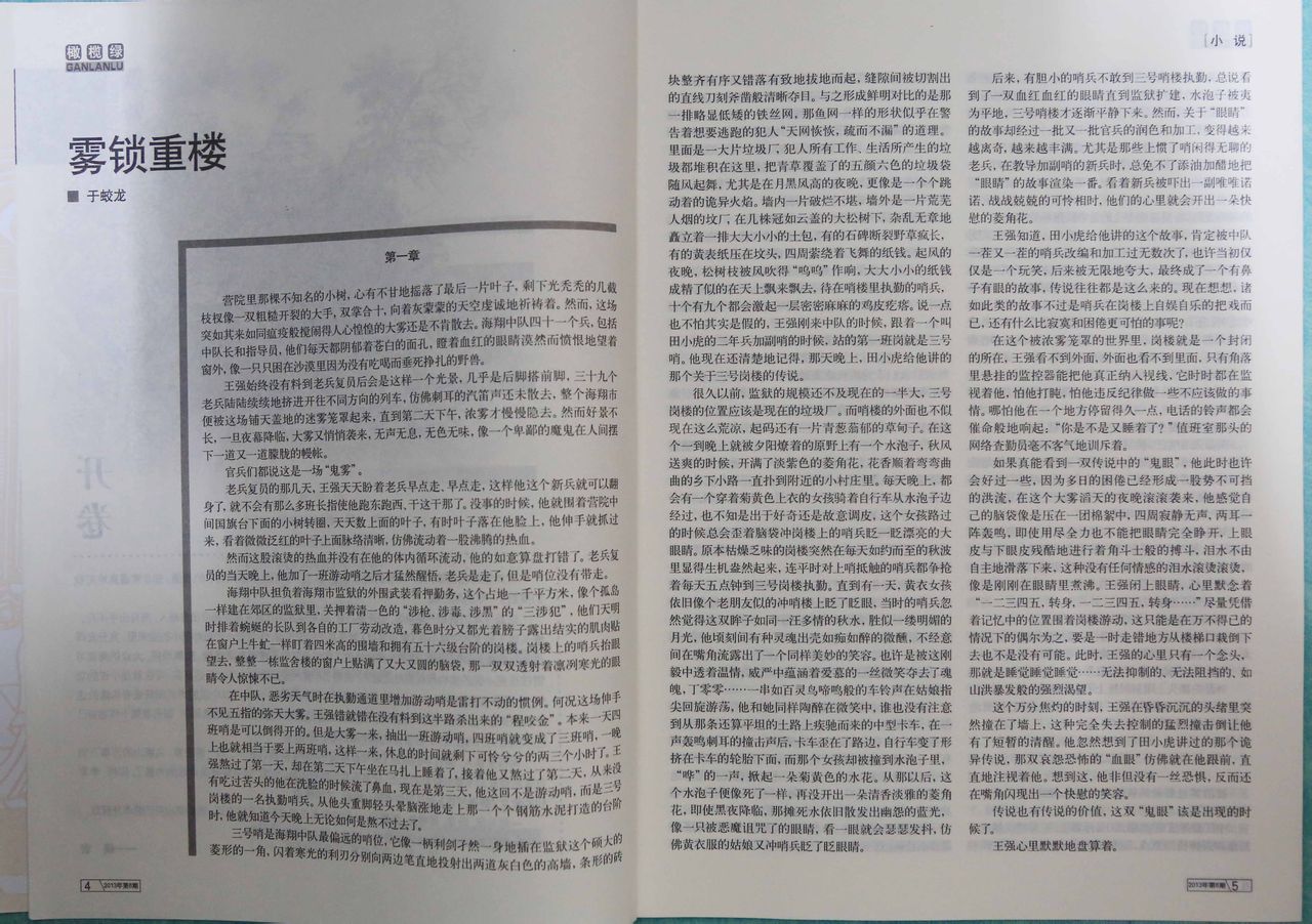 中篇小說《霧鎖重樓》