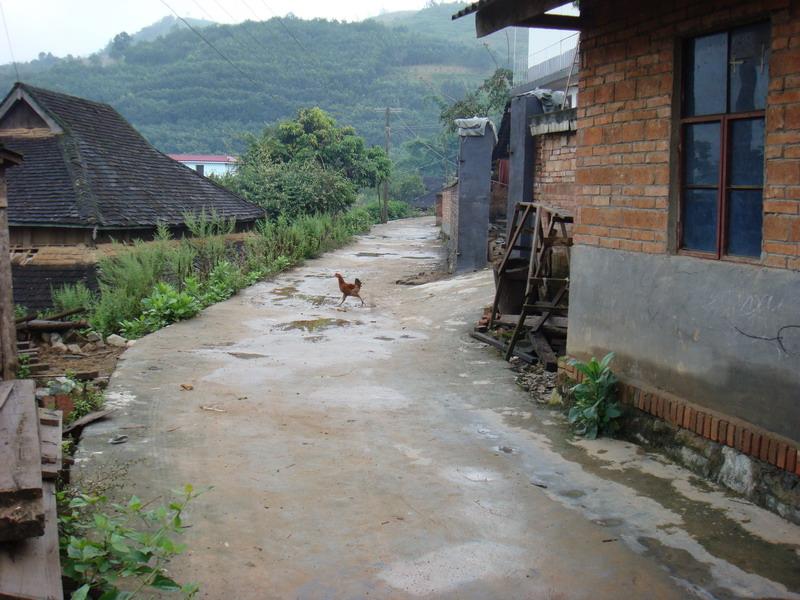 糯東村-村內道路