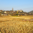 葛圩村(安徽阜陽市潁上縣劉集鄉下轄村)