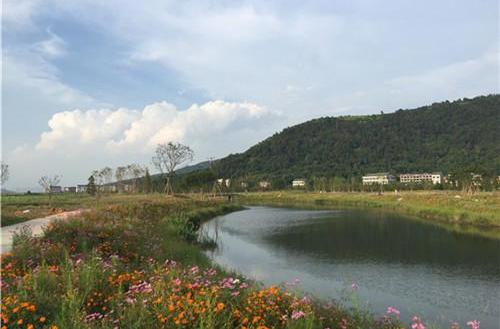 奉化曹村