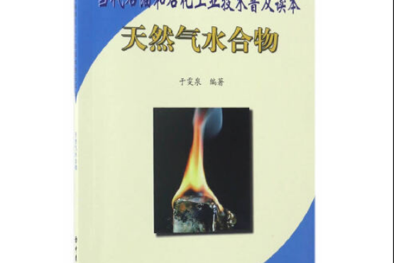 天然氣水合物(2017年中國石化出版社有限公司出版的圖書)