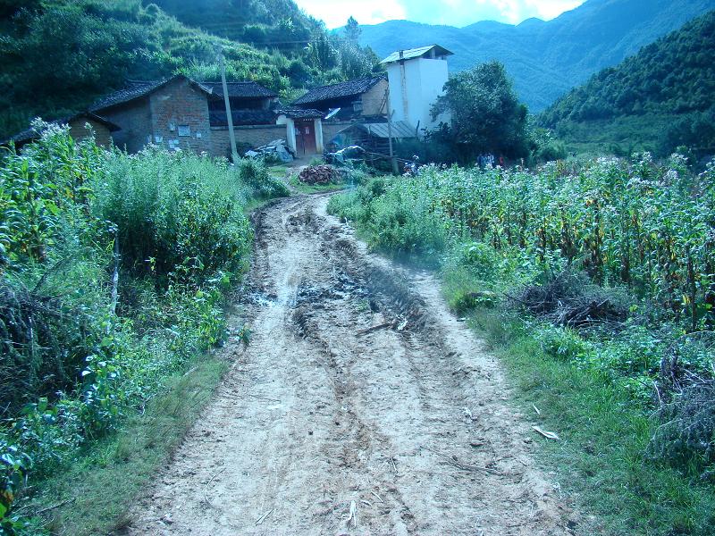 大田自然村(雲南昭通魯甸縣梭山鎮梭山村委會大田自然村)