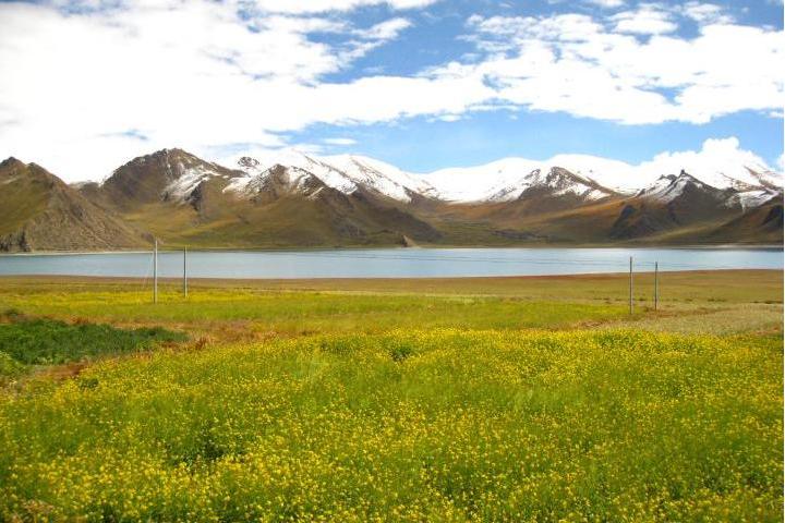 西藏那孜國家草原自然公園