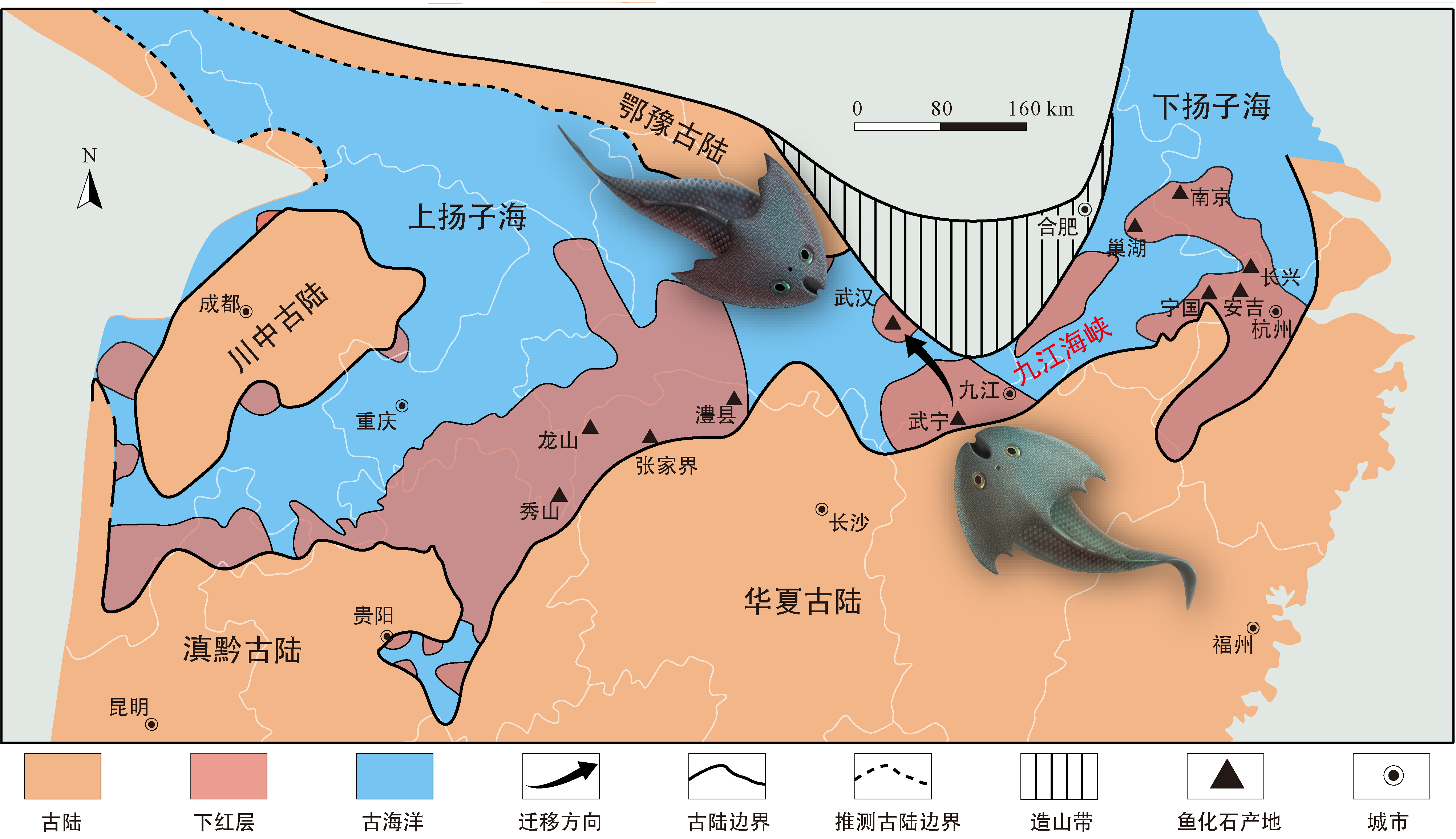 九江江夏魚