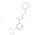 3-[2-（4-嗎啉基）乙基氨甲醯基]苯硼酸鹽酸鹽