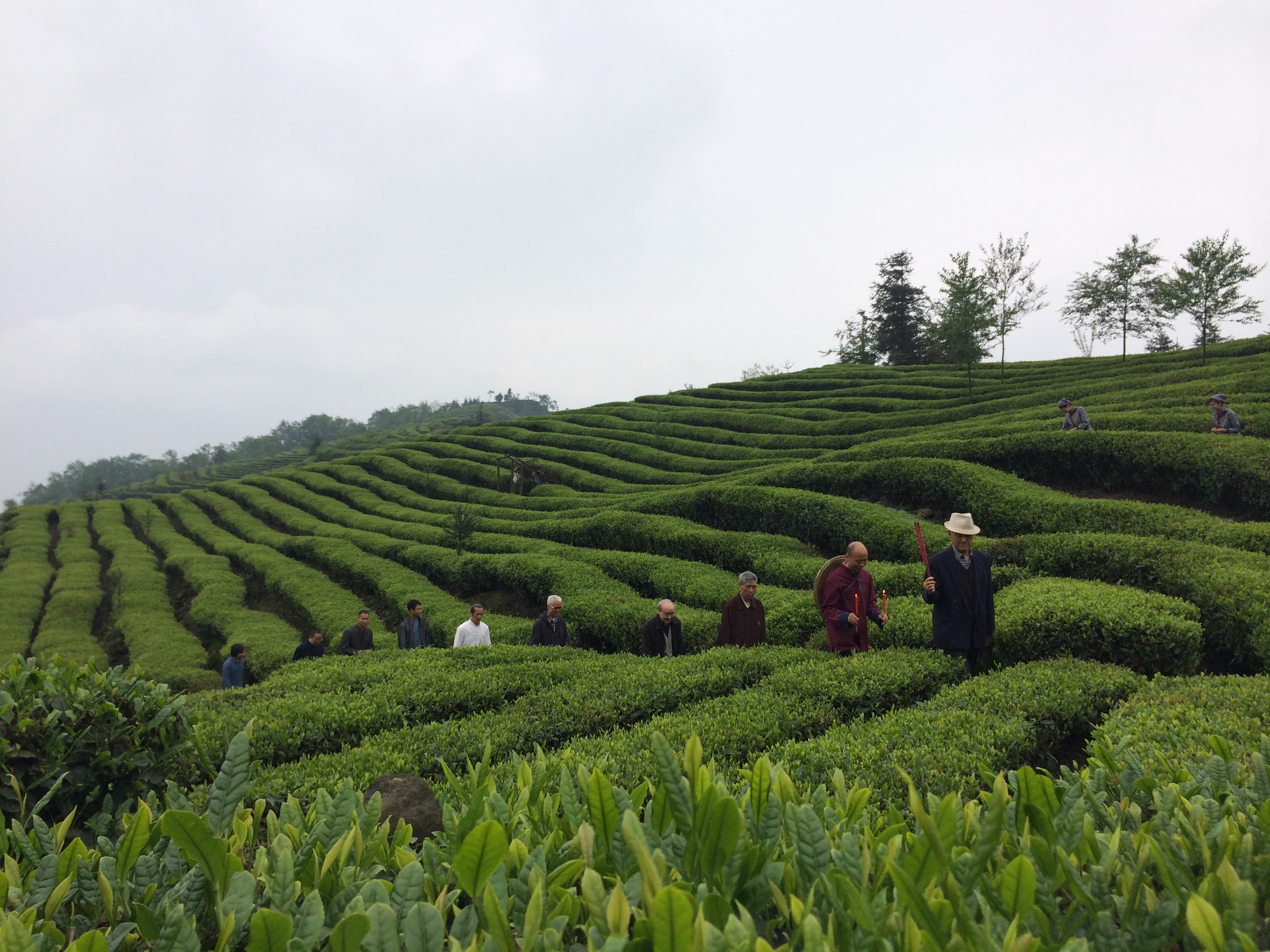 峨眉山榜上有名茶文化傳播中心