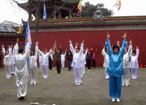 楊氏太極拳105式