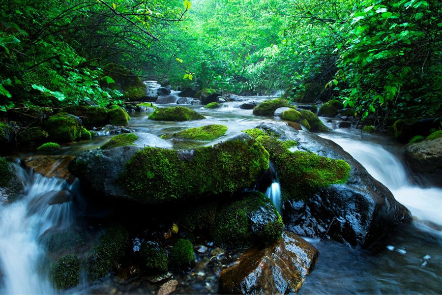 鞍子河