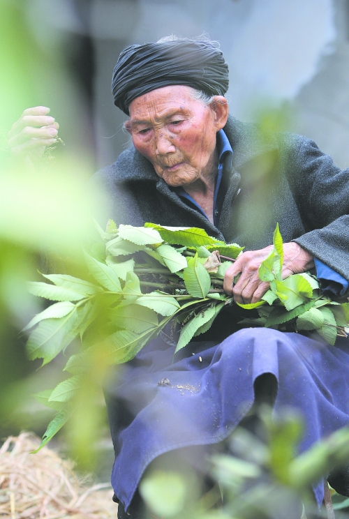 付素清