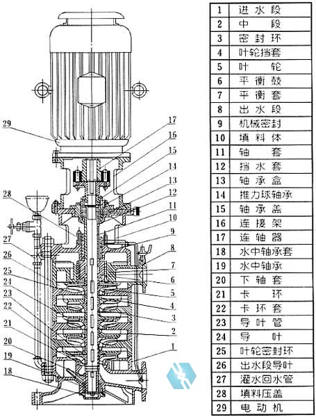 不鏽鋼立式多級泵結構圖