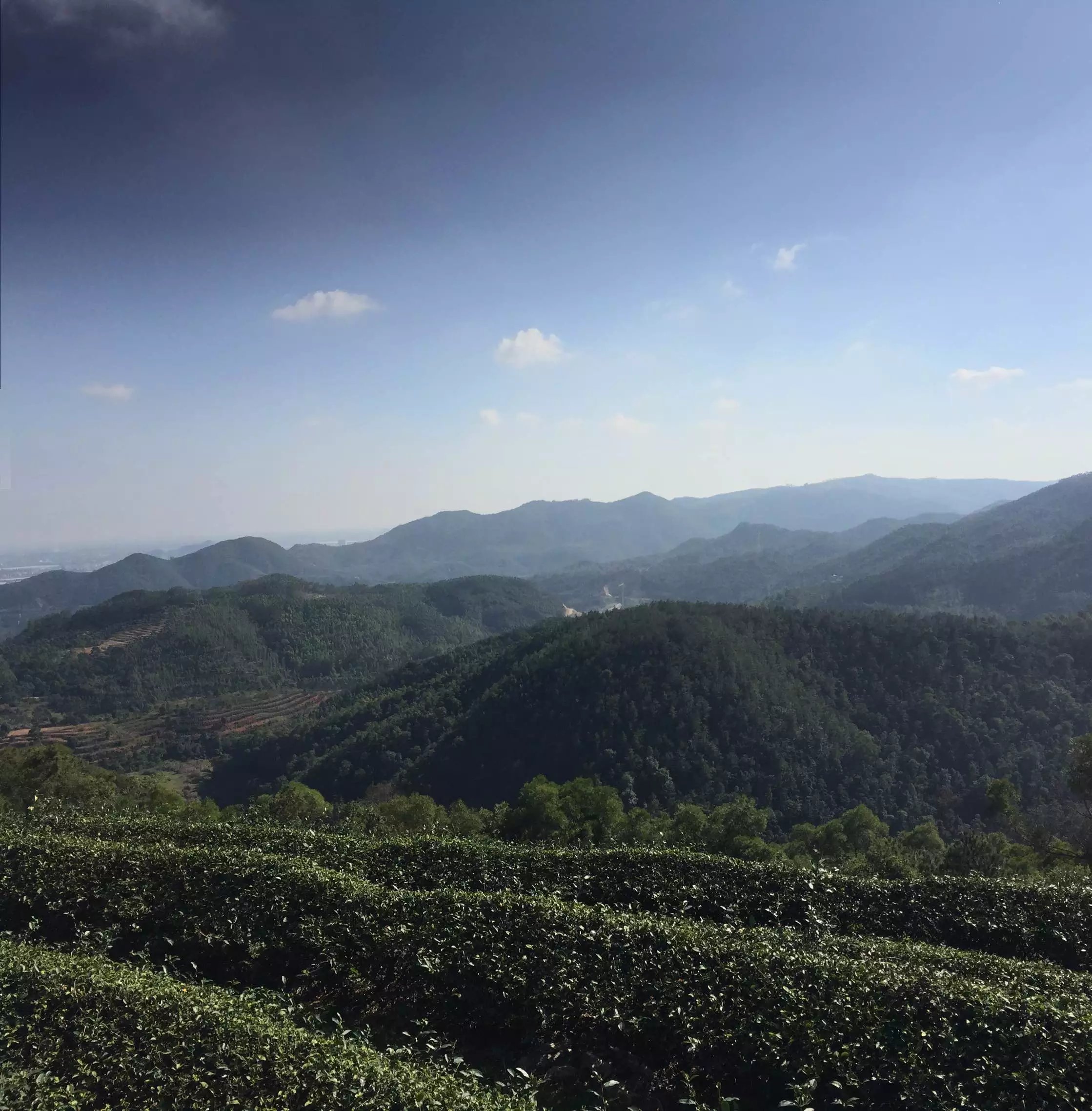 泉港大霧山