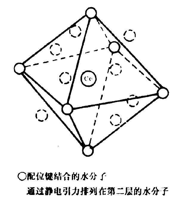 Co2+的水合