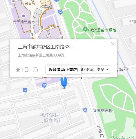 上南路3339弄98號