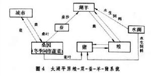 農業生態