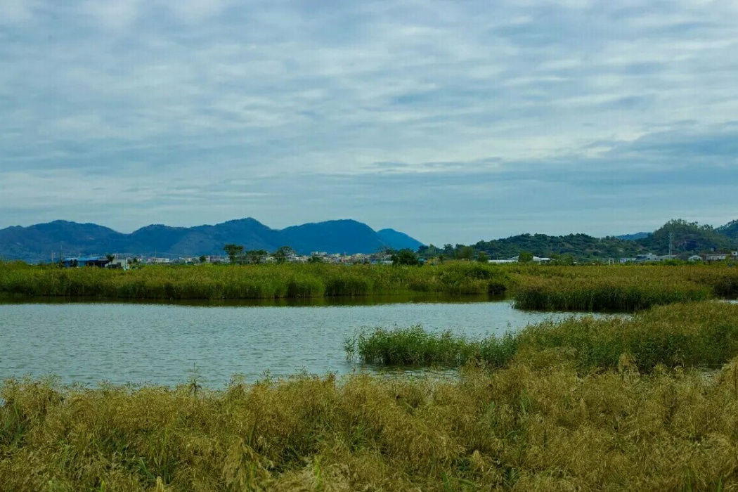 青草圩