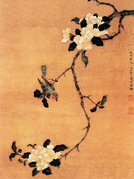 茶花幽禽圖