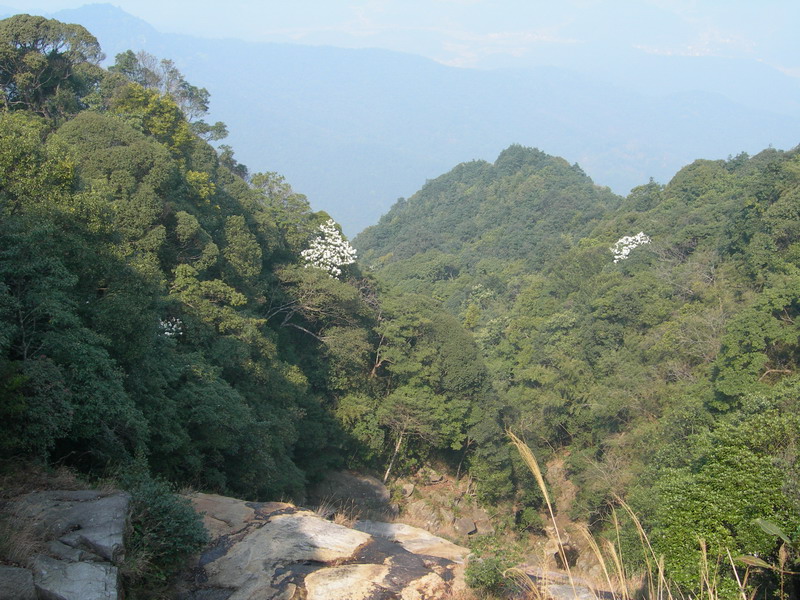 黃草梁風景區