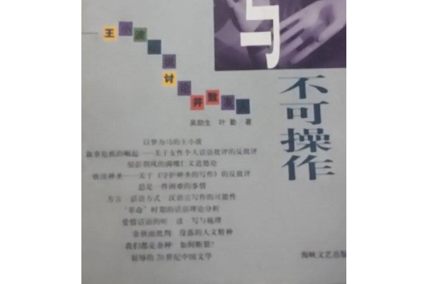 論操作與不可操作王小波小說討論並致友人