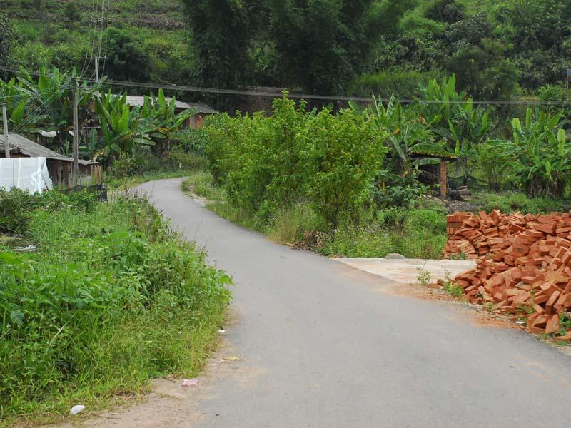 村里柏油路