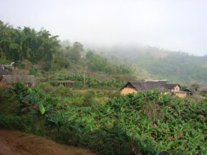 下茅草塘村