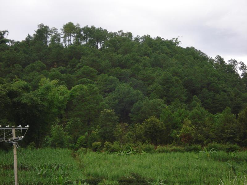 展蘭山自然村