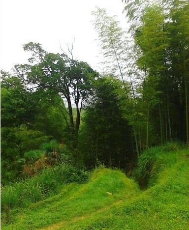 壺永村