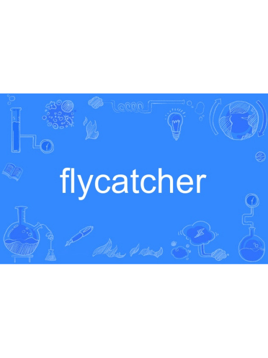 flycatcher